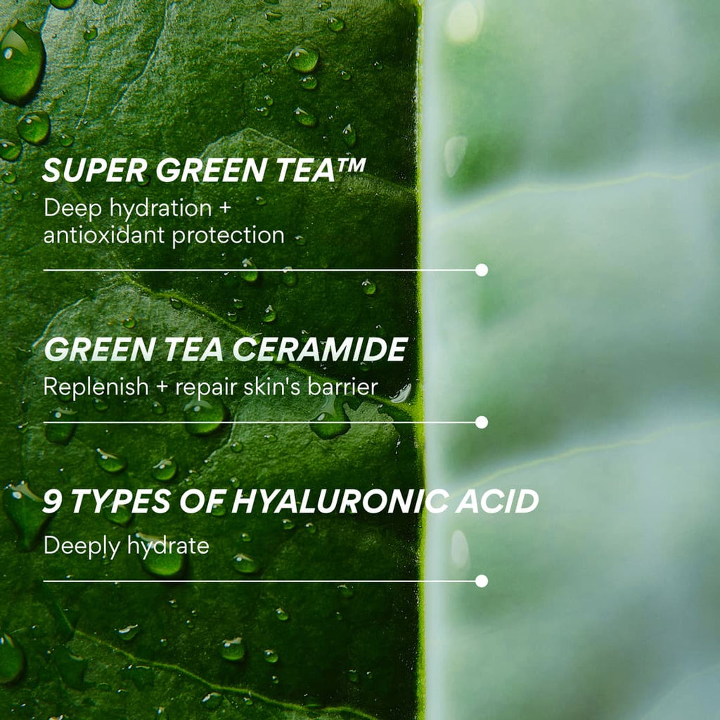 Green Tea Ceramide Milk