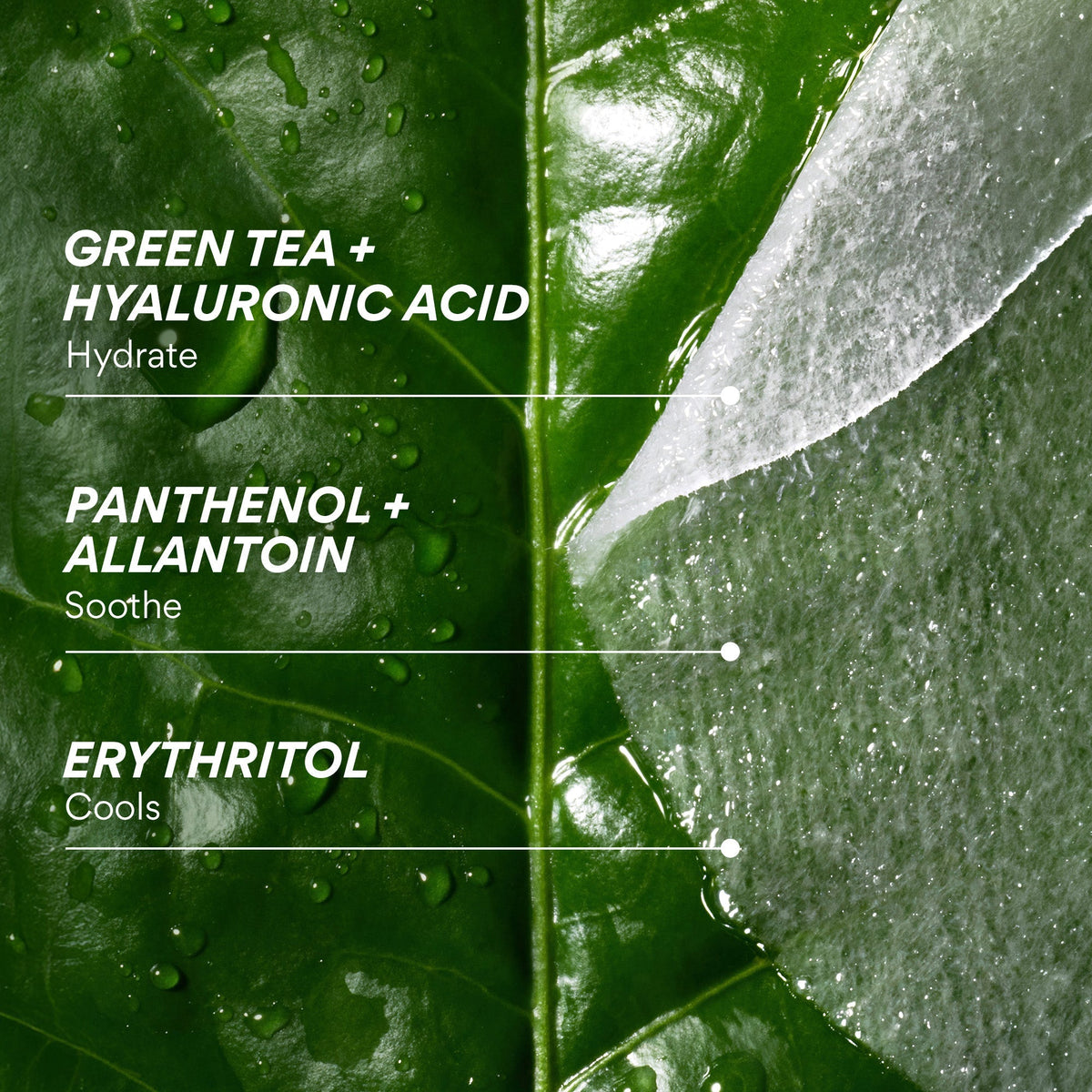 Green Tea Panthenol Calming Toner Pads